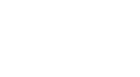 Sadzonki Jodły        i Świerka